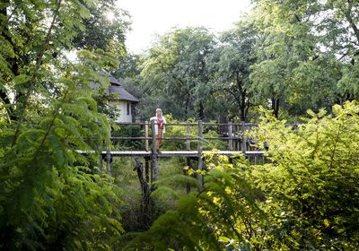 Raised Walkway between Treehouses